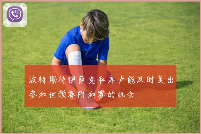 波特期待伊萨克和库卢能及时复出参加世预赛附加赛的机会