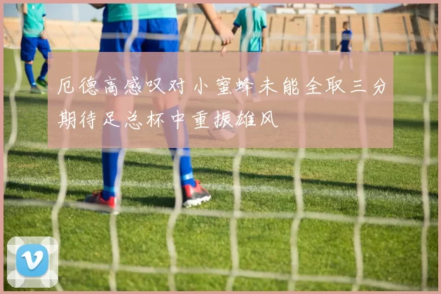 厄德高感叹对小蜜蜂未能全取三分期待足总杯中重振雄风